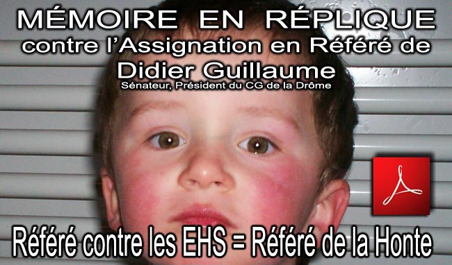Memoire_en_Replique_Refere_Contre_les_EHS_20_07_2010 news